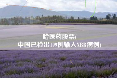 哈医药股票(
中国已检出199例输入XBB病例)