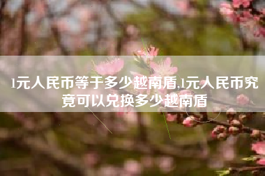 1元人民币等于多少越南盾,1元人民币究竟可以兑换多少越南盾