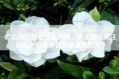 广弘控股股吧这么热闹，大家都在关注什么？它未来的股票走势如何？