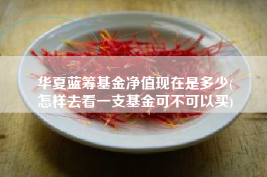 华夏蓝筹基金净值现在是多少(
怎样去看一支基金可不可以买)