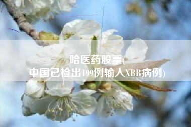 哈医药股票(
中国已检出199例输入XBB病例)
