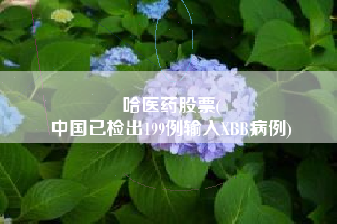 哈医药股票(
中国已检出199例输入XBB病例)
