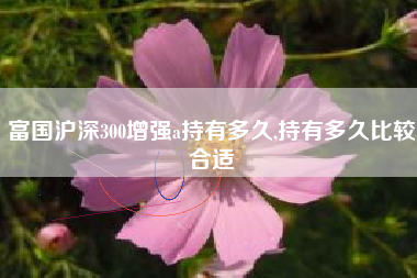 富国沪深300增强a持有多久,持有多久比较合适