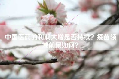 中国医药的利润大增是否持续？疫苗领域前景如何？