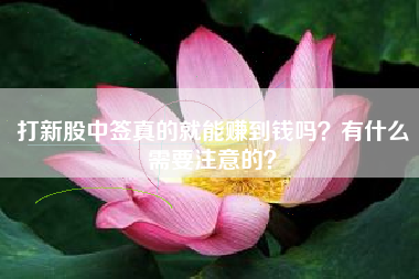 打新股中签真的就能赚到钱吗？有什么需要注意的？