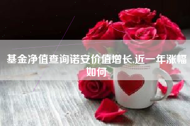 基金净值查询诺安价值增长,近一年涨幅如何