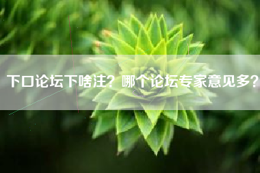 下口论坛下啥注？哪个论坛专家意见多？