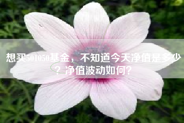 想买501050基金，不知道今天净值是多少？净值波动如何？