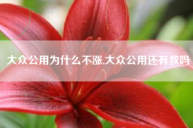 大众公用为什么不涨,大众公用还有救吗