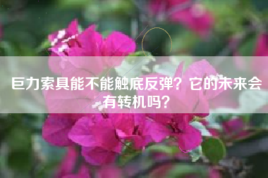 巨力索具能不能触底反弹？它的未来会有转机吗？