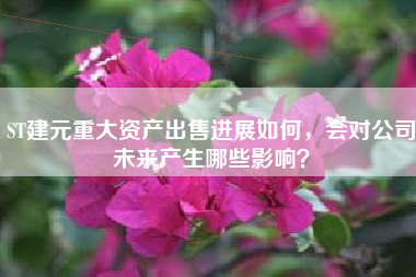 ST建元重大资产出售进展如何，会对公司未来产生哪些影响？