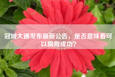 冠城大通发布最新公告，是否意味着可以摘帽成功？