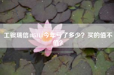 工银瑞信485111今年亏了多少？买的值不值？