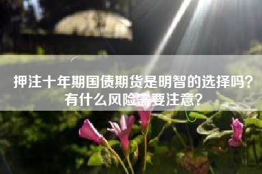 押注十年期国债期货是明智的选择吗？有什么风险需要注意？
