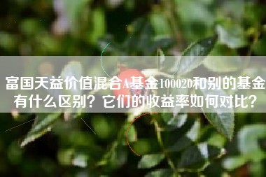 富国天益价值混合A基金100020和别的基金有什么区别？它们的收益率如何对比？