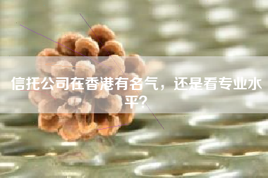 信托公司在香港有名气，还是看专业水平？