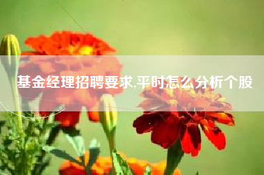 基金经理招聘要求,平时怎么分析个股