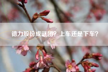 德力股份成谜团？上车还是下车？