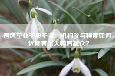 国风塑业千股千评：机构参与程度如何，近期有无大幅增减仓？