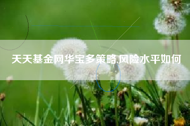 天天基金网华宝多策略,风险水平如何