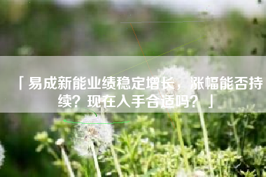 「易成新能业绩稳定增长，涨幅能否持续？现在入手合适吗？」