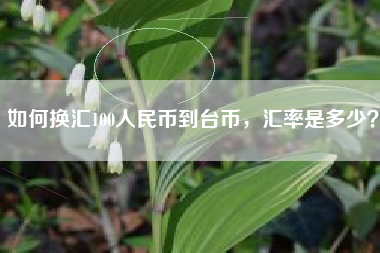 如何换汇100人民币到台币，汇率是多少？