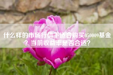 什么样的市场行情下适合购买050009基金？当前收益率是否合适？