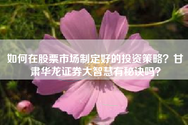 如何在股票市场制定好的投资策略？甘肃华龙证券大智慧有秘诀吗？
