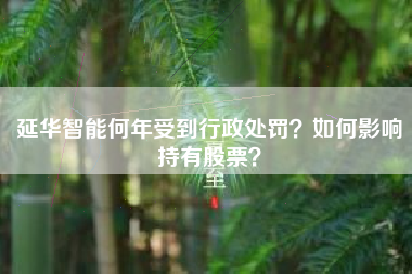 延华智能何年受到行政处罚？如何影响持有股票？