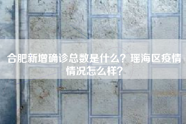 合肥新增确诊总数是什么？瑶海区疫情情况怎么样？
