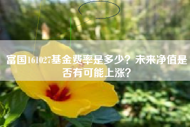 富国161027基金费率是多少？未来净值是否有可能上涨？