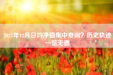2021年12月日均净值集中查询？历史轨迹一览无遗