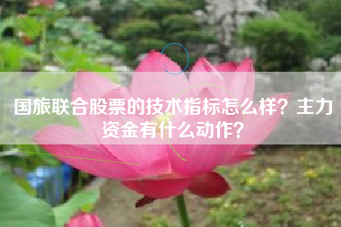 国旅联合股票的技术指标怎么样？主力资金有什么动作？