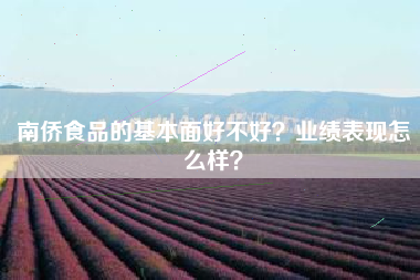 南侨食品的基本面好不好？业绩表现怎么样？