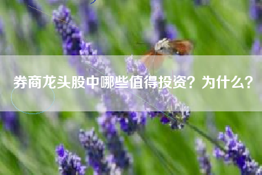 券商龙头股中哪些值得投资？为什么？