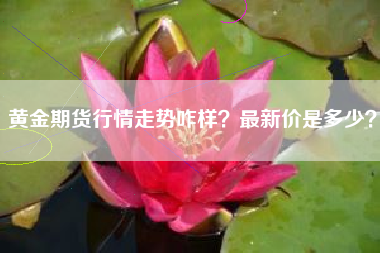 黄金期货行情走势咋样？最新价是多少？