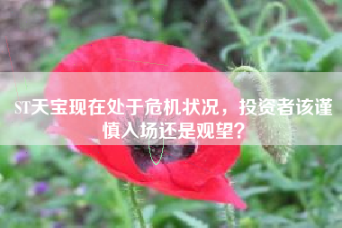 ST天宝现在处于危机状况，投资者该谨慎入场还是观望？