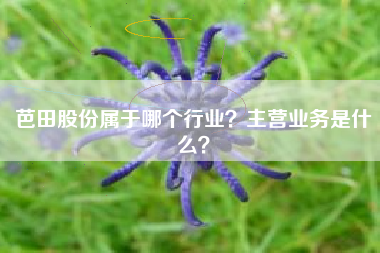 芭田股份属于哪个行业？主营业务是什么？