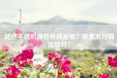 武进不锈的保荐券商是谁？股票发行情况如何？