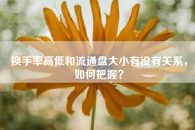 换手率高低和流通盘大小有没有关系，如何把握？