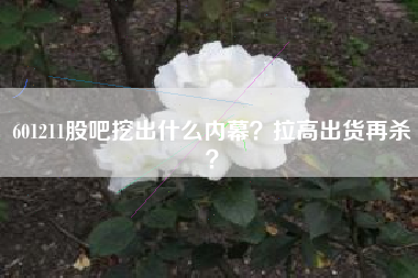 601211股吧挖出什么内幕？拉高出货再杀？