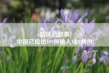 哈医药股票(
中国已检出199例输入XBB病例)