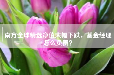 南方全球精选净值大幅下跌，基金经理怎么负责？