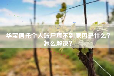 华宝信托个人账户查不到原因是什么？怎么解决？