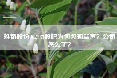雄韬股份002733股吧为何频现骂声？公司怎么了？