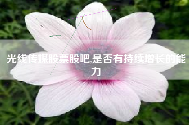 光线传媒股票股吧,是否有持续增长的能力