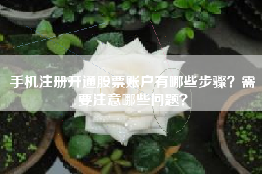 手机注册开通股票账户有哪些步骤？需要注意哪些问题？