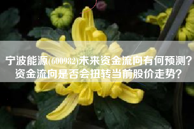 宁波能源(600982)未来资金流向有何预测？资金流向是否会扭转当前股价走势？