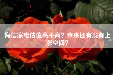 海信家电估值高不高？未来还有没有上涨空间？