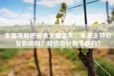 东富龙股吧资金大量流失，未来走势会受影响吗？股价会长期下跌吗？